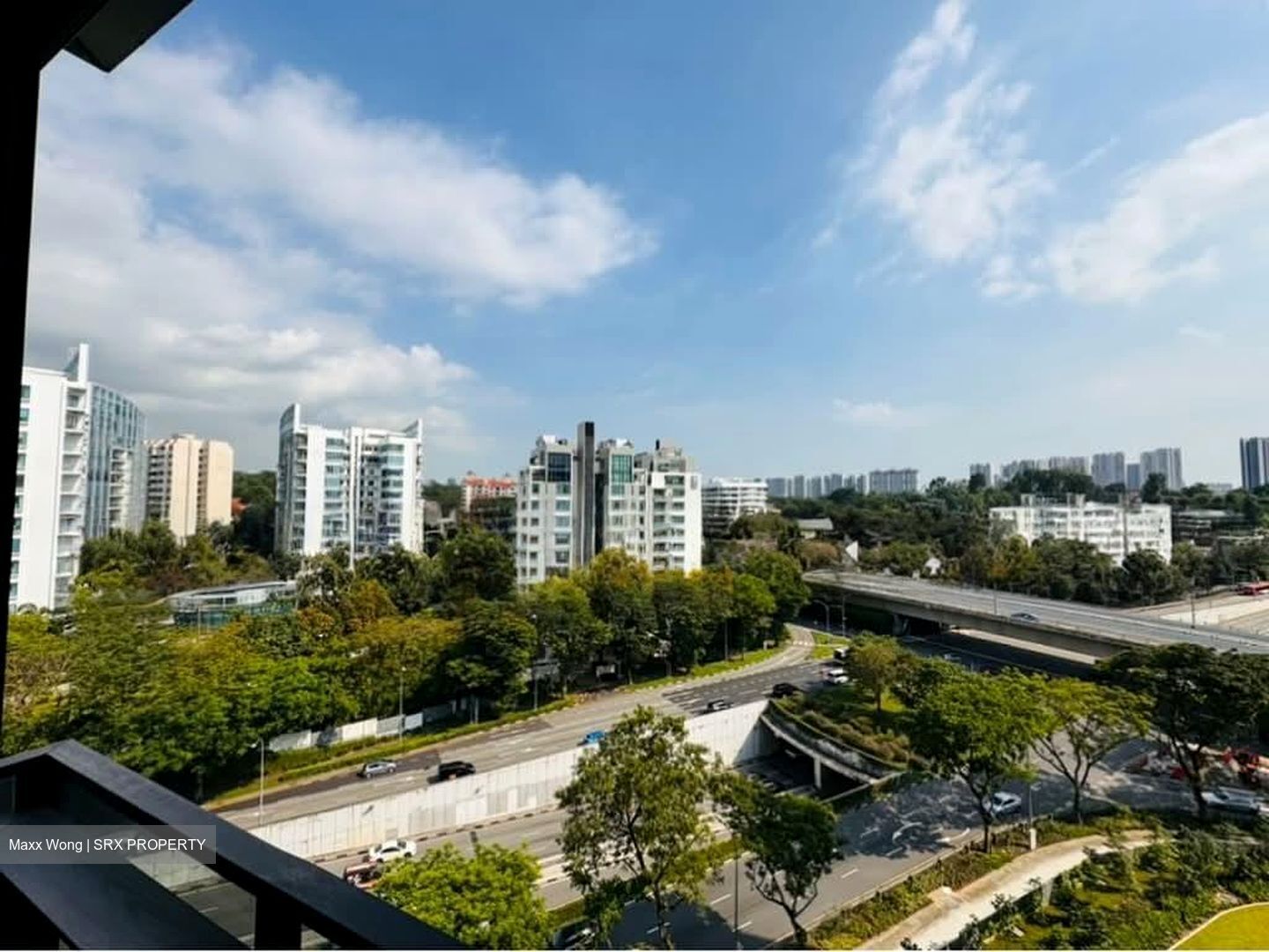 Leedon Green (D10), Condominium #602945201